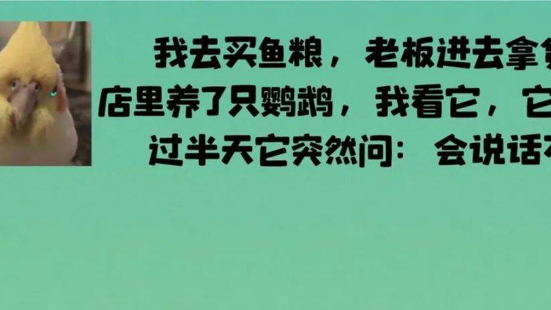 速冻面点冷链物流：揭秘其背后的排名奥秘